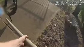 VIDEO Polițiști chemați să scape orașul de o reptilă agresivă. Șopârla avea doi metri lungime